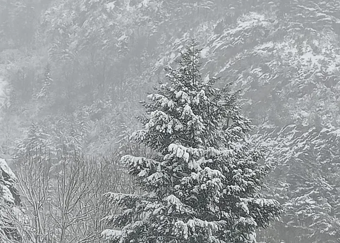 El Nido De Lägenhet Villanúa